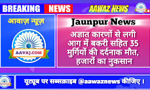 Jaunpur News अज्ञात कारणों से लगी आग में बकरी सहित 35 मुर्गियों की दर्दनाक मौत, हजारों का नुकसान