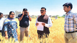 Jaunpur News जौनपुर: जिलाधिकारी ने किया क्रॉप कटिंग निरीक्षण, किसानों को मिली राहत