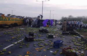 आगरा में शाहदरा फ्लाईओवर पर भीषण हादसा: आम से लदी मैक्स गाड़ी पलटी, इतनो की मौत, क्लीनर गंभीर