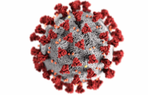 आगरा में फिर मिले कोरोना के केस, इतने संक्रमित