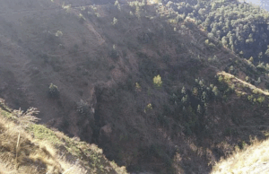 टिहरी-घनसाली मार्ग पर बस हादसा: गुजरात के 35 यात्रियों को लेकर केदारनाथ जा रही बस पलटी, इतने गंभीर रूप से घायल