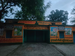 IMG20250705190533-1