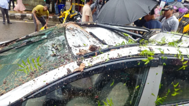 kalkaji-tree-falls-on-car-1755157001