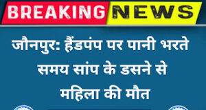 Jaunpur News जौनपुर: हैंडपंप पर पानी भरते समय सांप के डसने से महिला की मौत