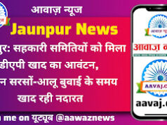 Jaunpur News जौनपुर: सहकारी समितियों को मिला डीएपी खाद का आवंटन, लेकिन सरसों-आलू बुवाई के समय खाद रही नदारत
