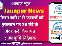 Jaunpur News बेमौसम बारिश से फसलों को नुकसान पर 72 घंटे के अंदर करें शिकायत : उप कृषि निदेशक