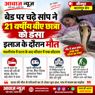 Jaunpur News बेड पर चढ़े सांप ने 21 वर्षीय बीए छात्रा को डंसा, इलाज के दौरान मौत 1001710475