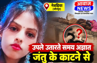 जौनपुर: उपले उतारते समय अज्ञात जंतु के काटने से युवती की मौत, परिवार में मातम जौनपुर: उपले उतारते समय अज्ञात जंतु के काटने से युवती की मौत, परिवार में मातम