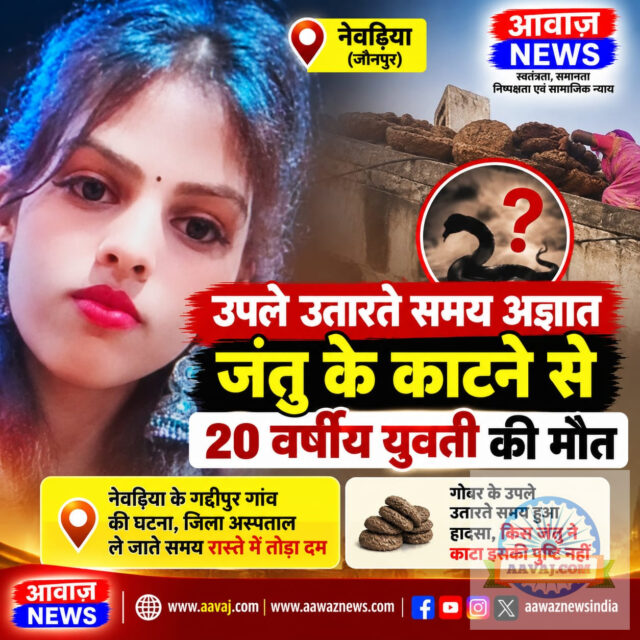 जौनपुर: उपले उतारते समय अज्ञात जंतु के काटने से युवती की मौत, परिवार में मातम